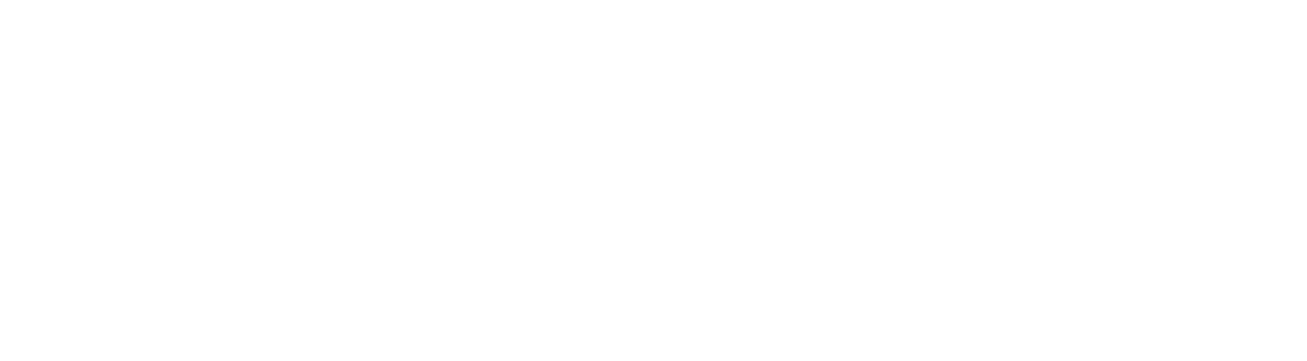 STXBP1 Foundation logo